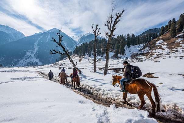 Horse Riding In Gulmarg