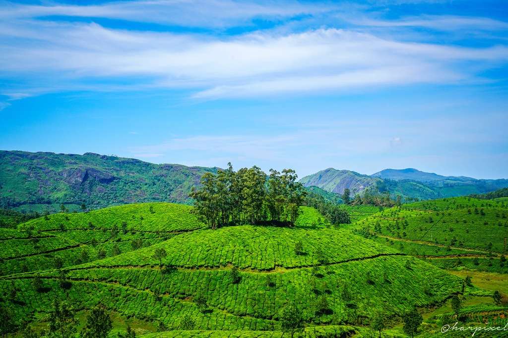 Munnar, Kerala