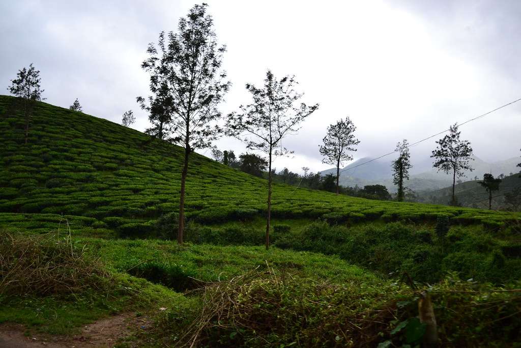 Wayanad, Kerala