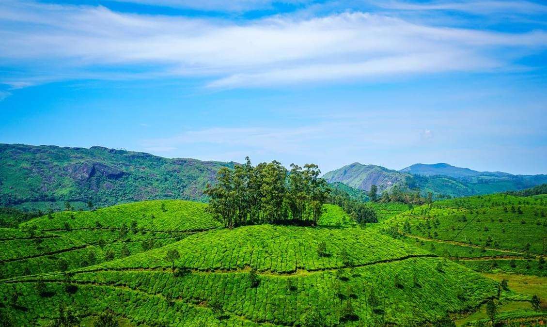Munnar, Kerala - Tea Gardens and Winding Roads