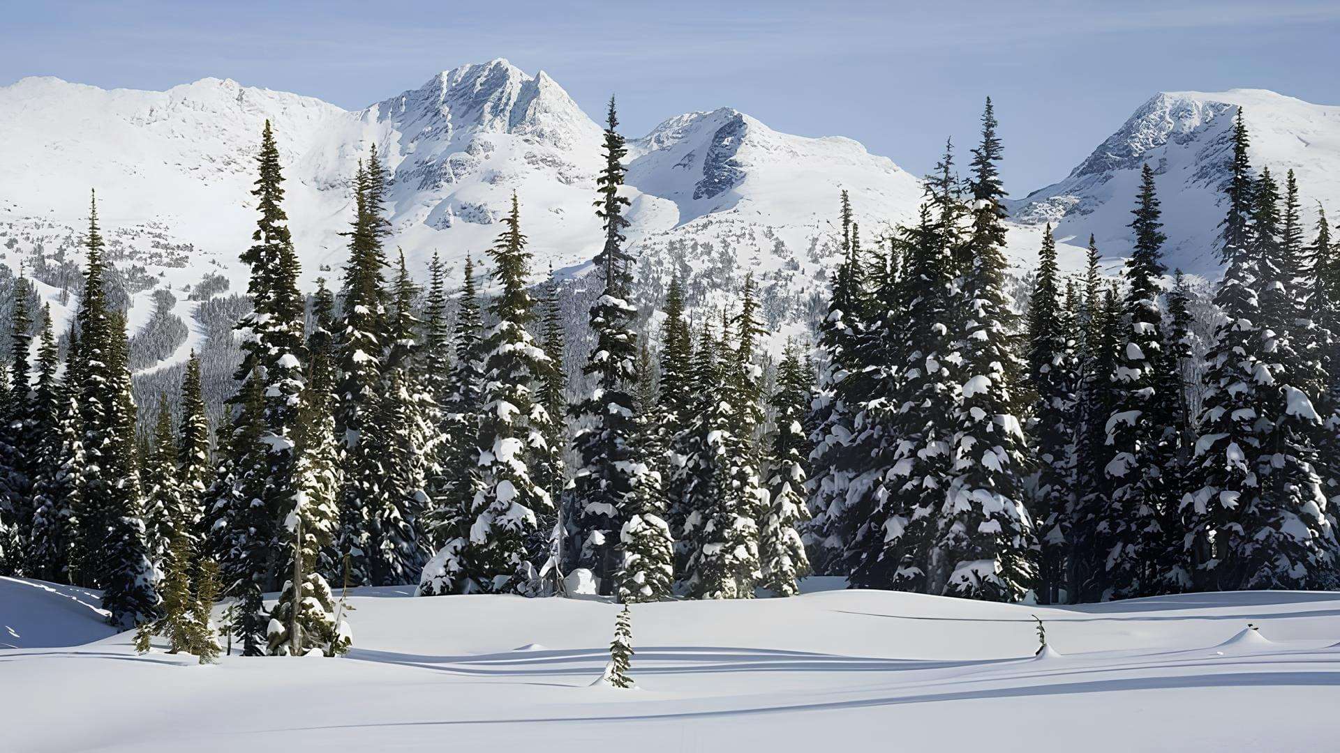 Gulmarg Biosphere Reserve