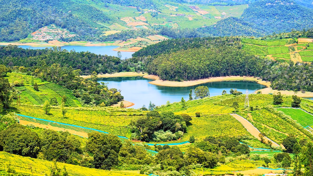 Ooty, Tamil Nadu