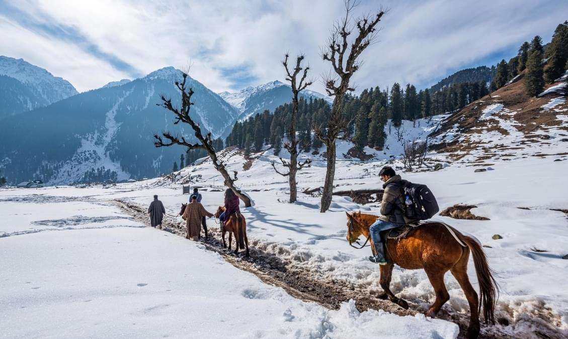 Horse Riding Experience