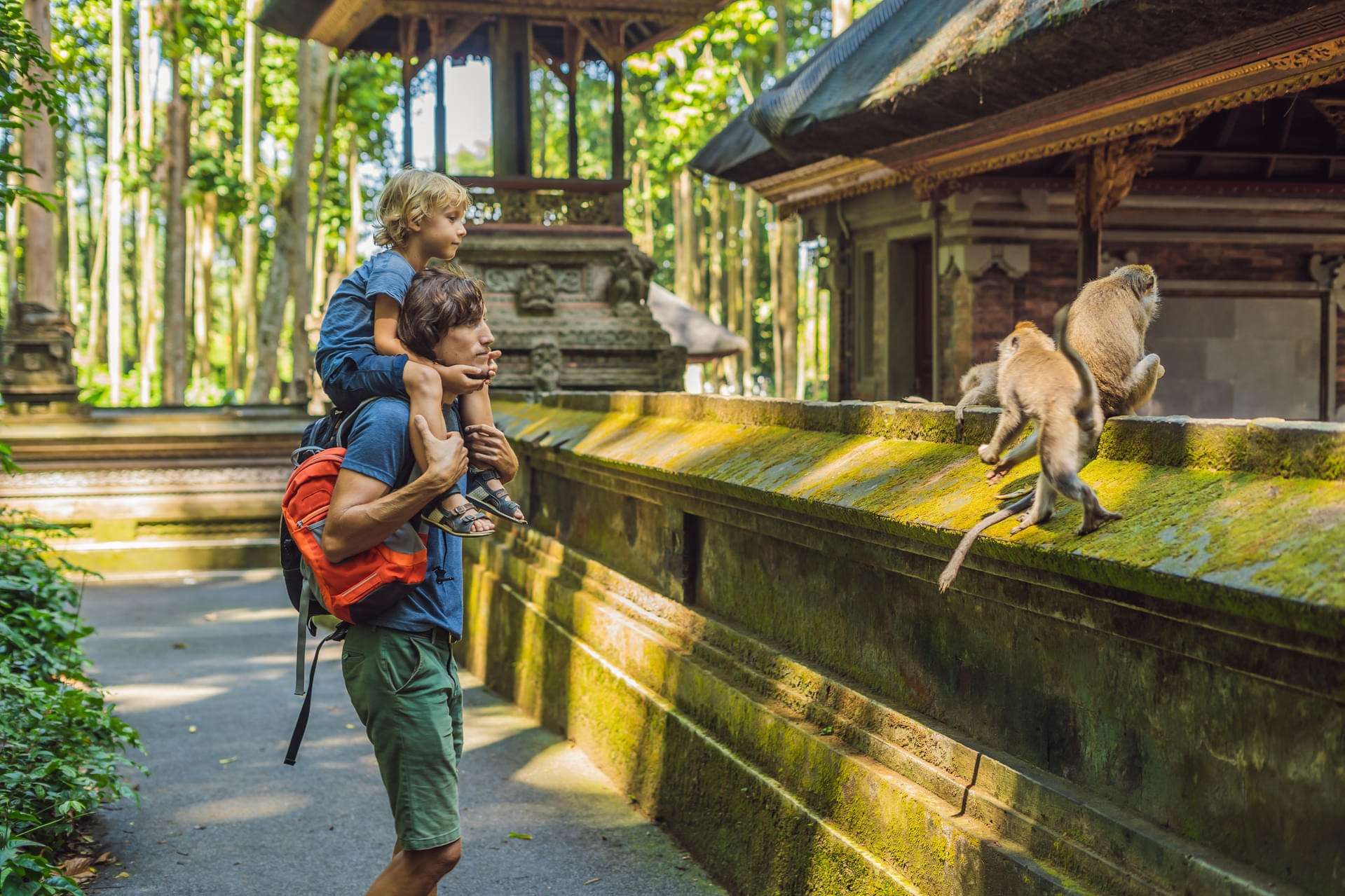 Ubud Monkey Forest