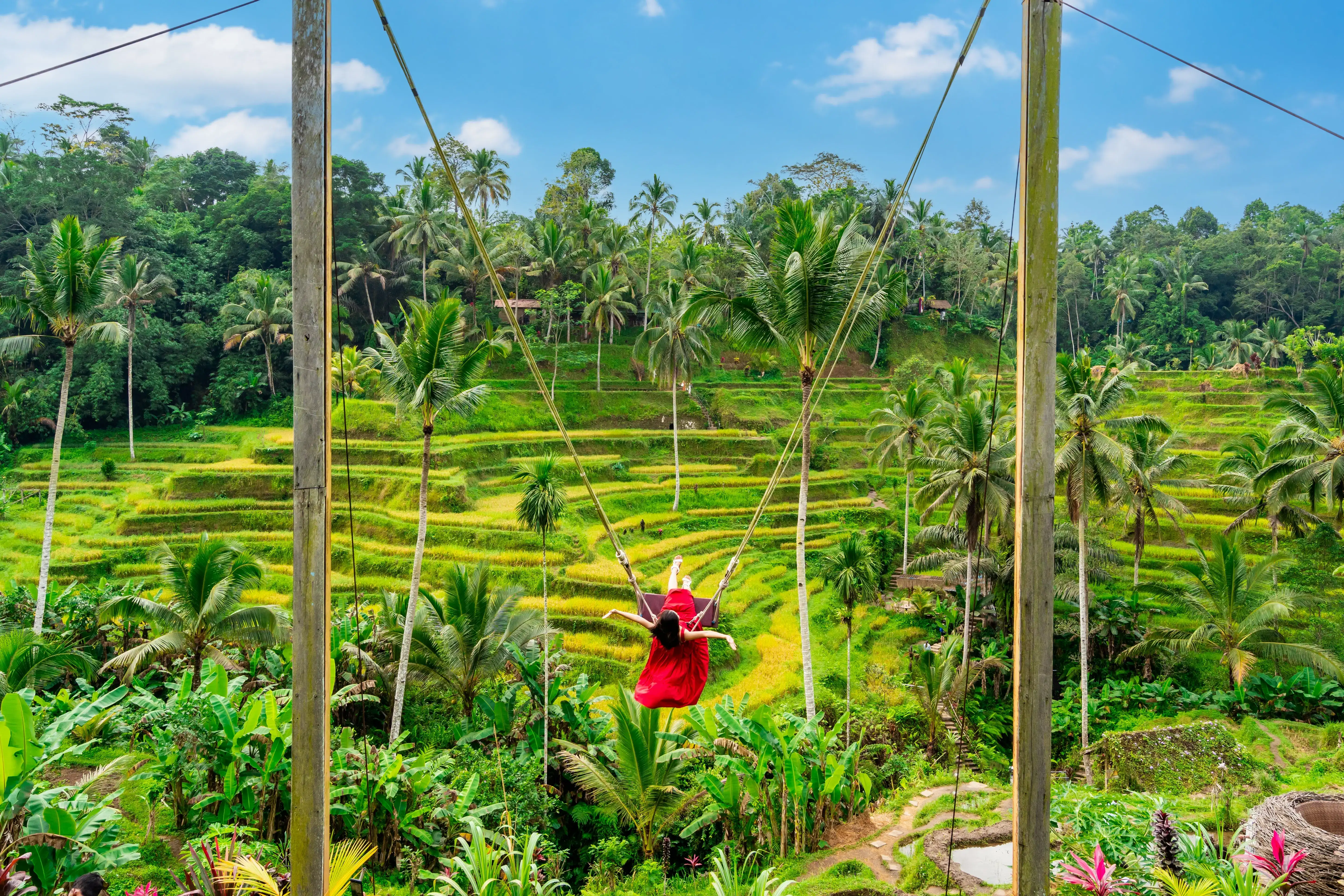 Tegalalang Rice Terraces