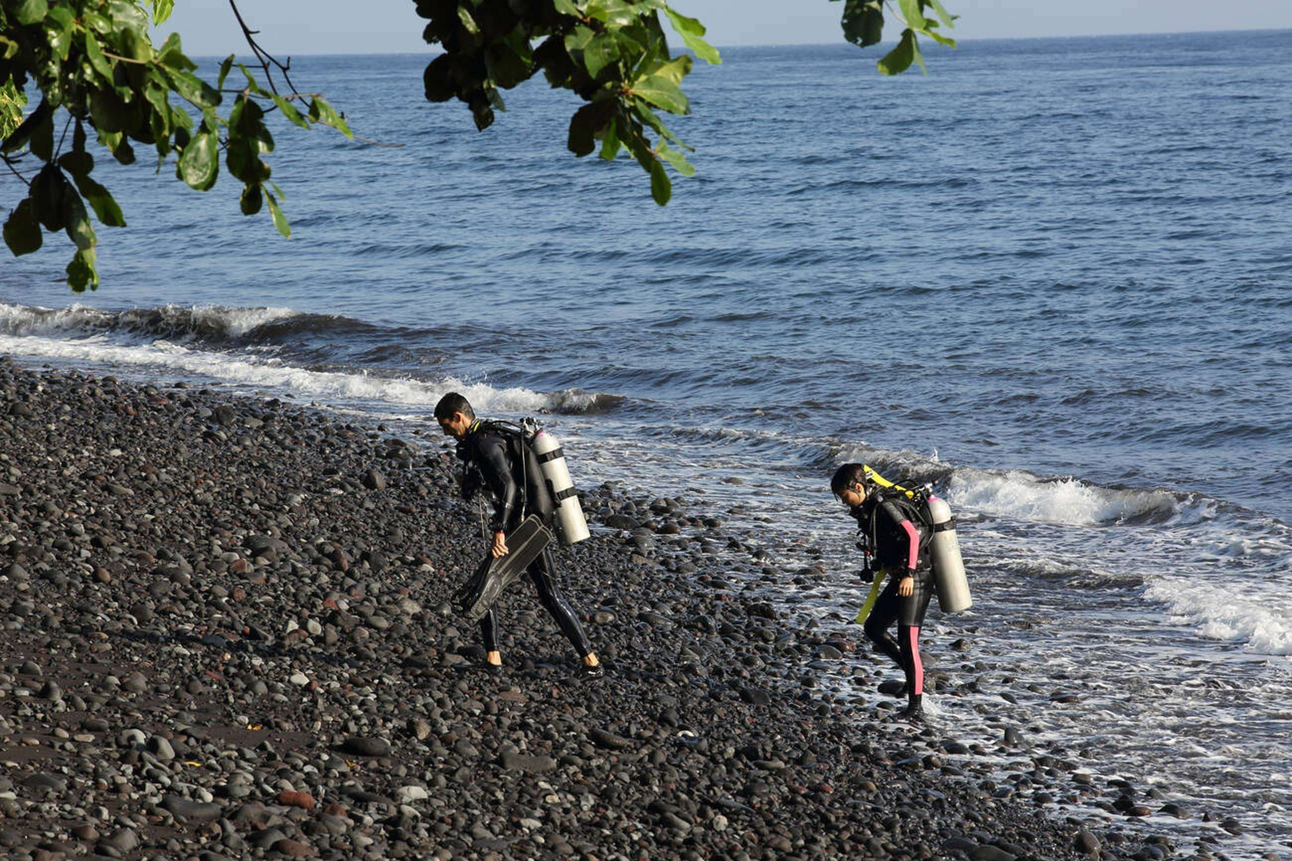 Go Snorkelling Or Diving