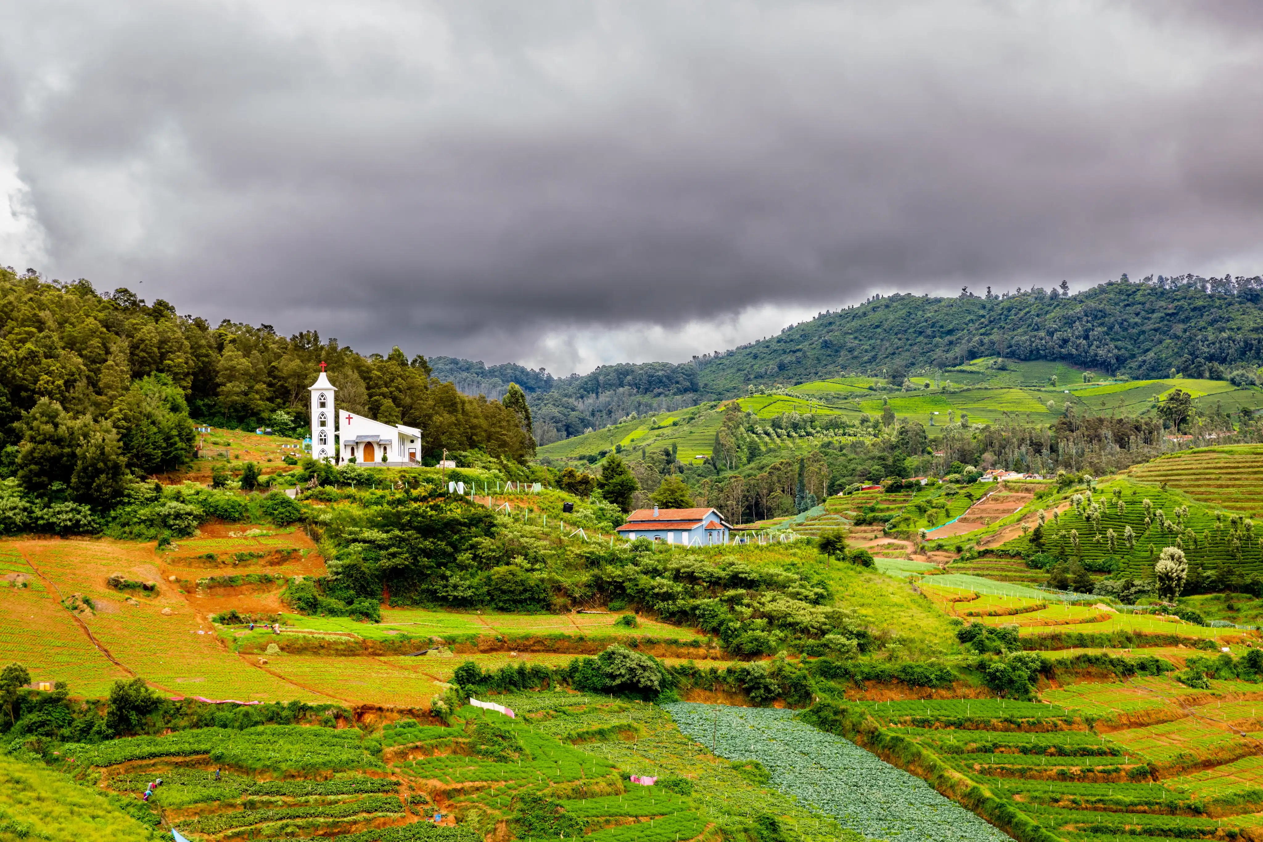 Ooty, Tamil Nadu