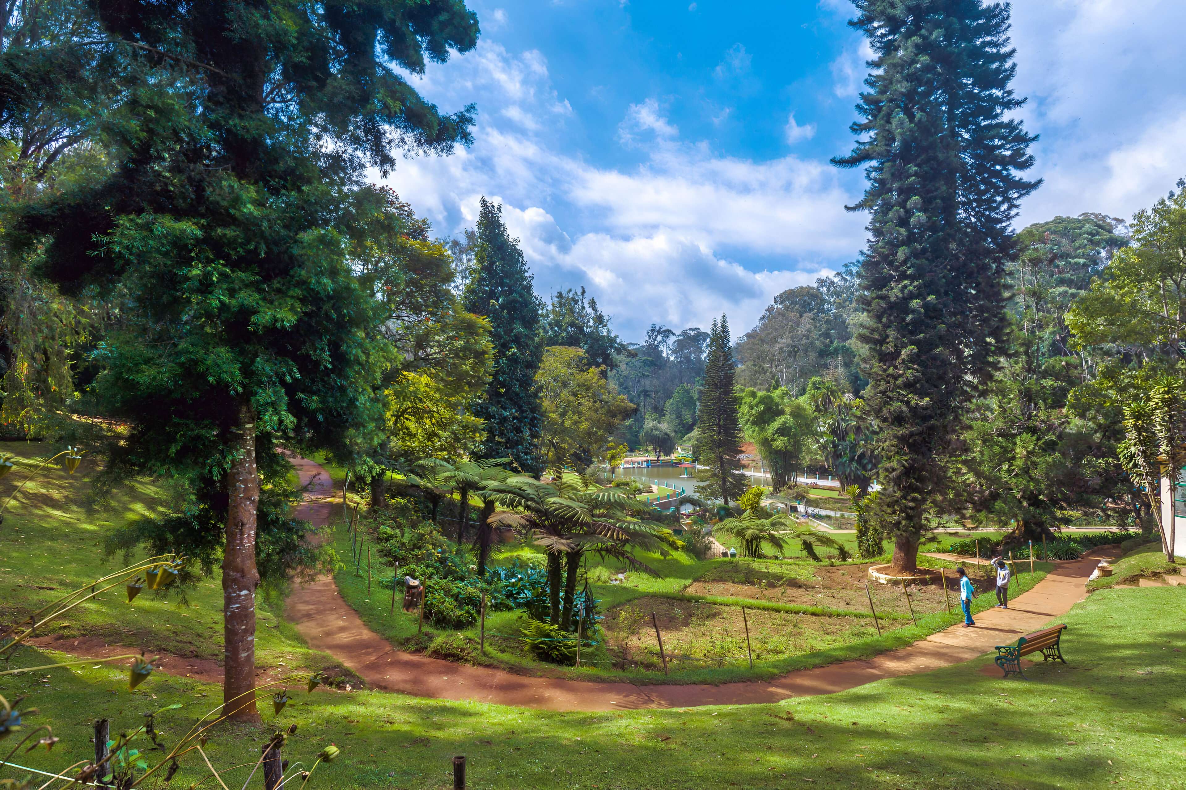 Coonoor, Tamil Nadu