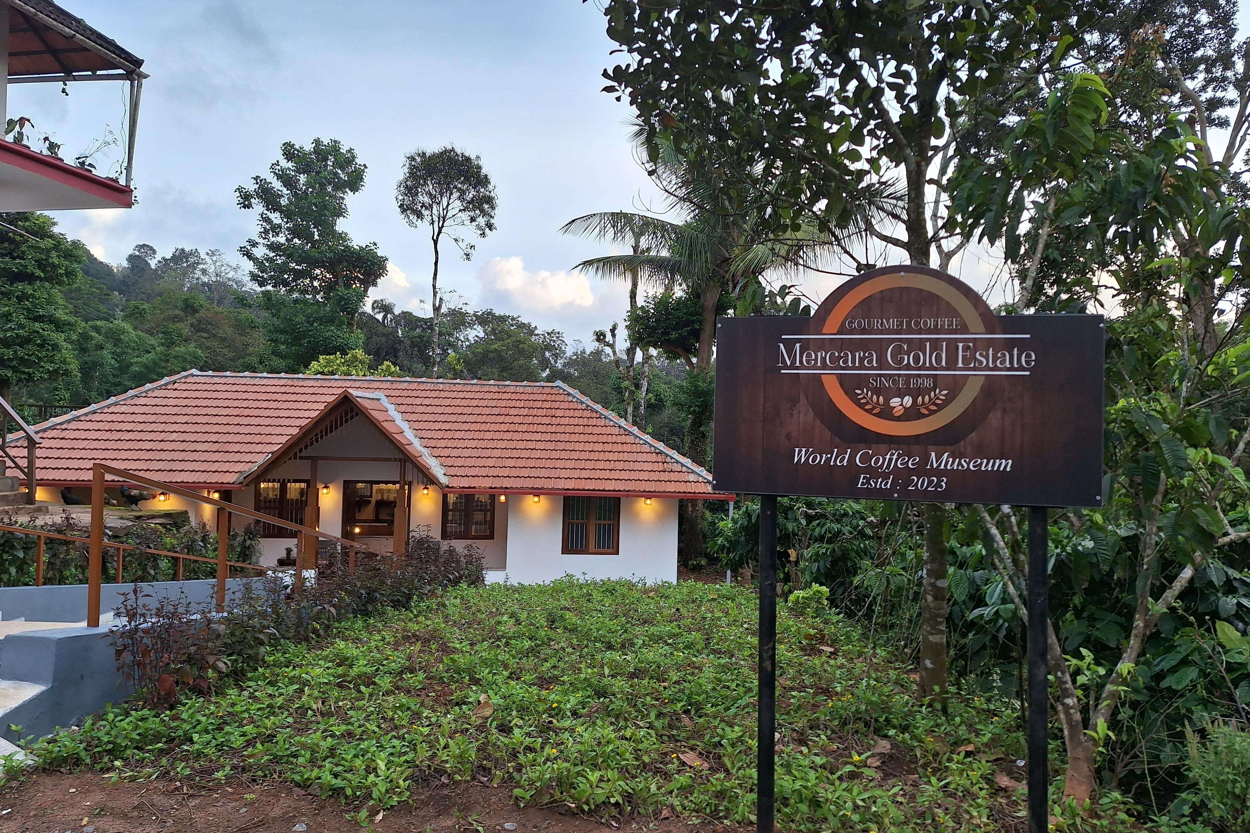 Take A Coffee Estate Tour