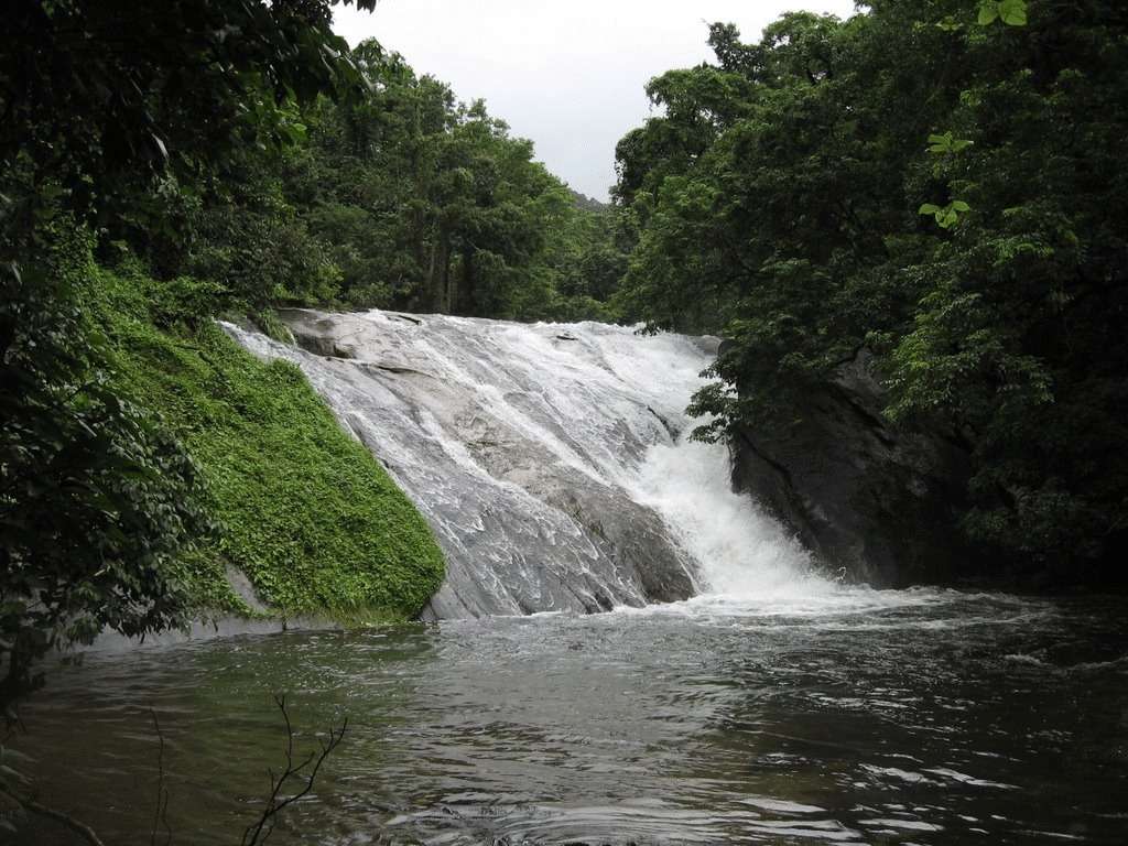 Visit A Local Waterfall