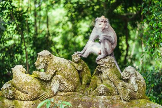 Ubud Sacred Monkey Forest