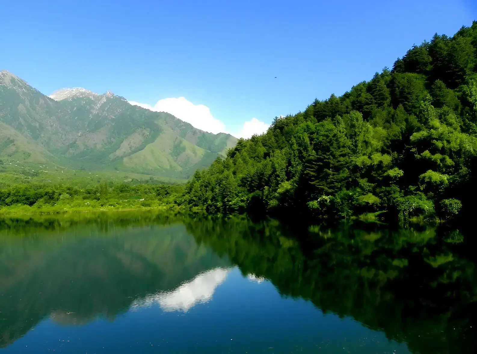 Dachigam National Park