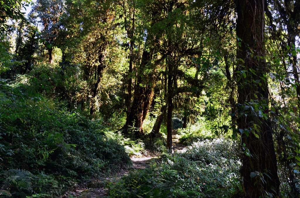 Maenam Wildlife Sanctuary