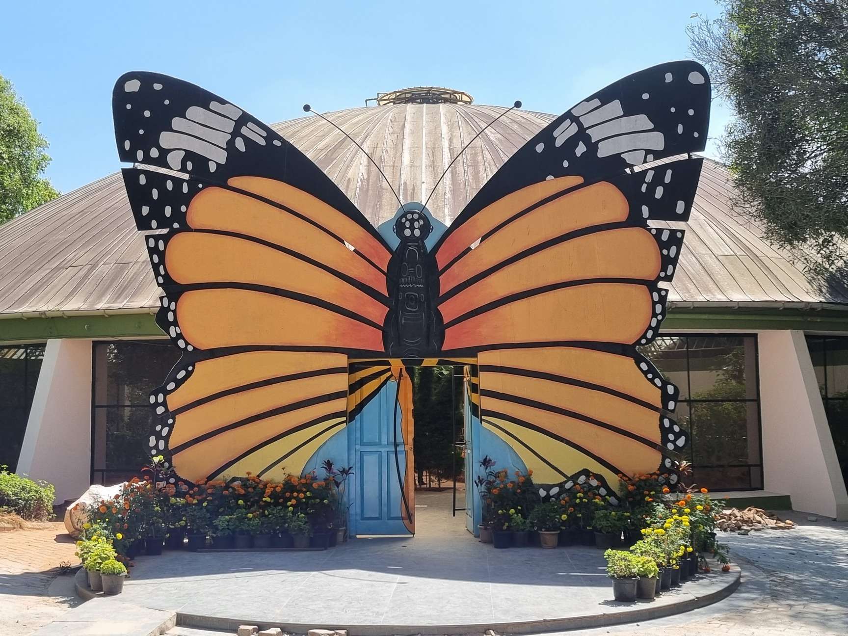 Butterfly park Bannerghatta