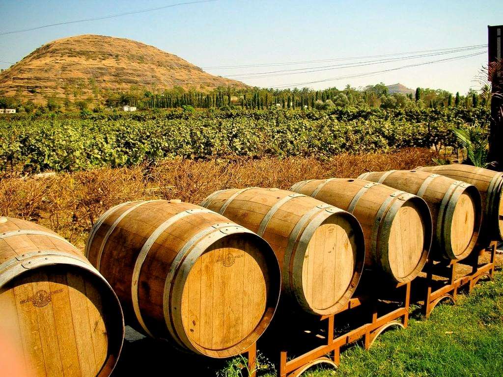 Chateau Indage, Narayangaon, Maharashtra