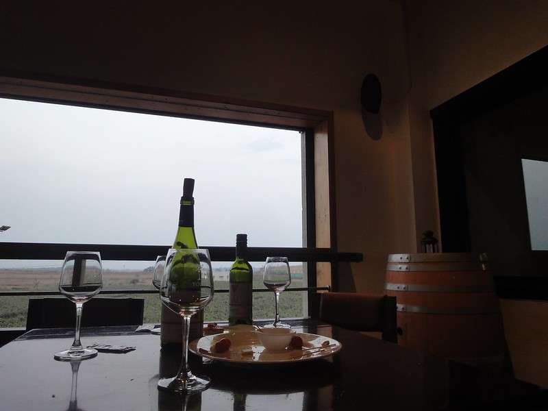 York Winery, Nashik, Maharashtra