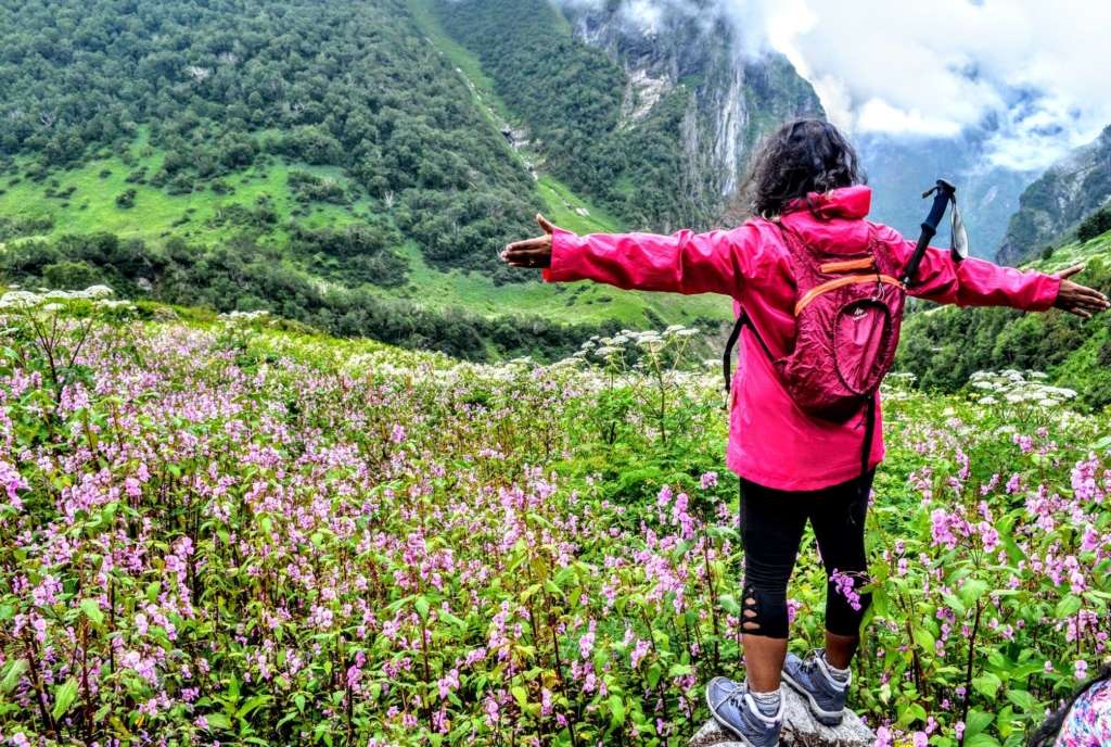 Trek Through The Forest Patch