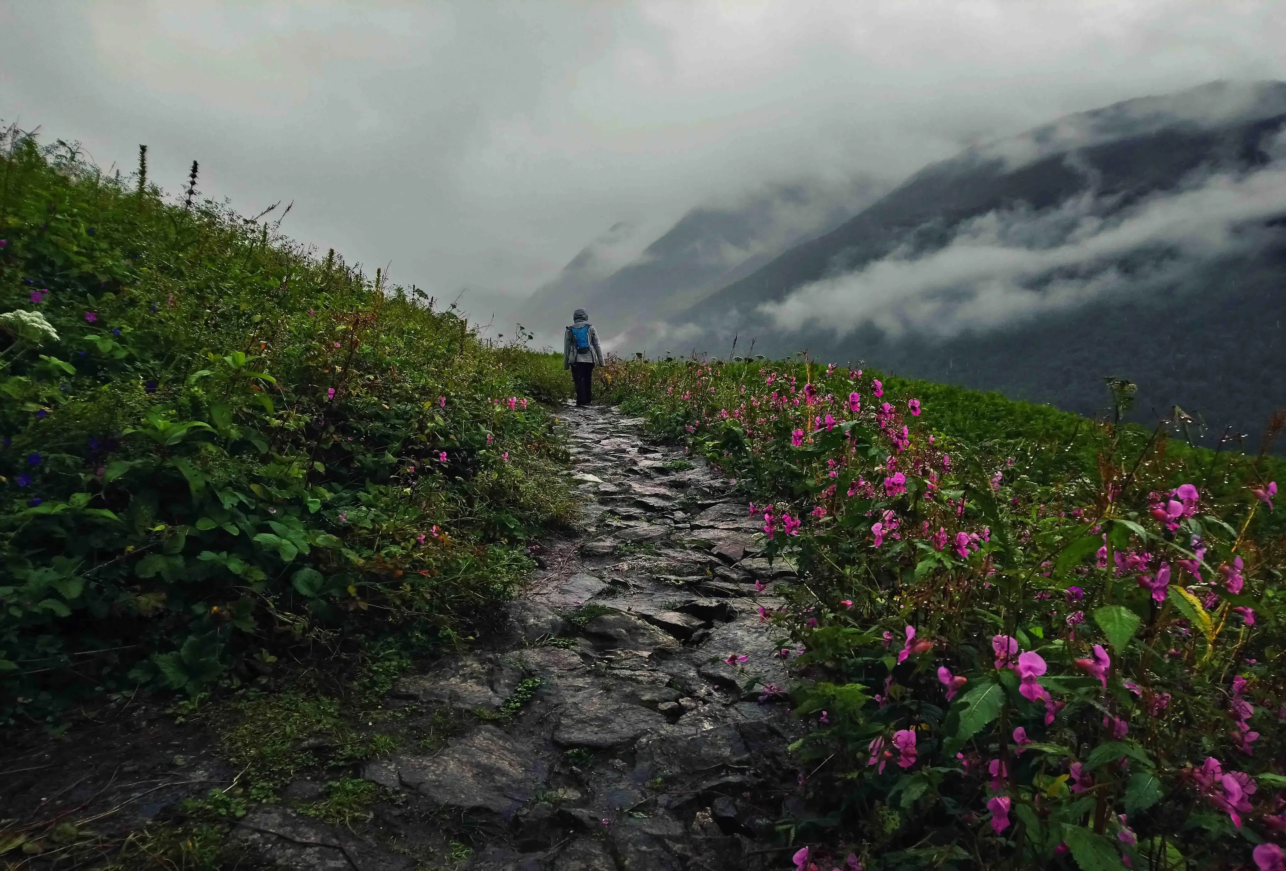 Valley of Flowers Trek in June – Weather, Flowers & Tips