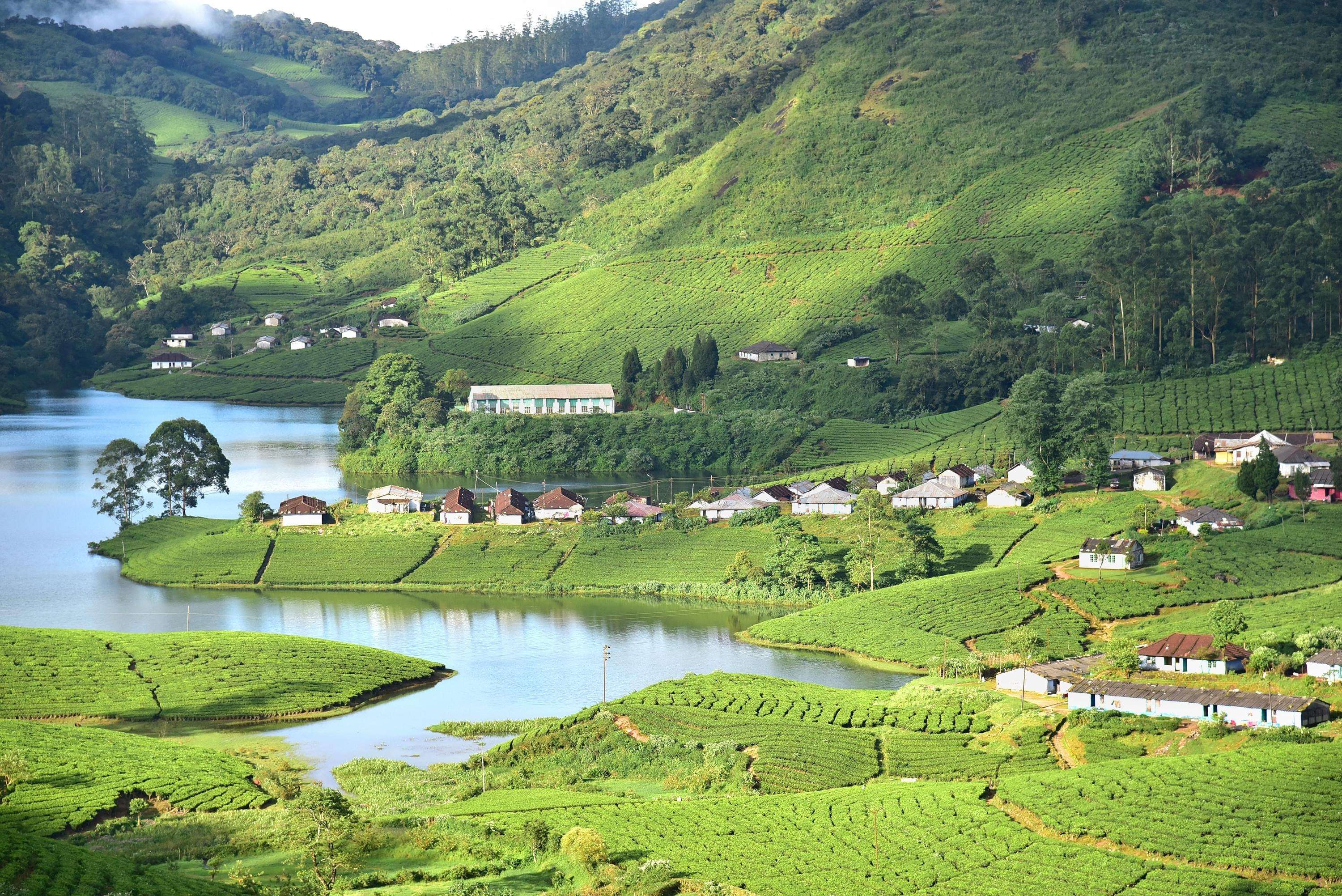 Munnar