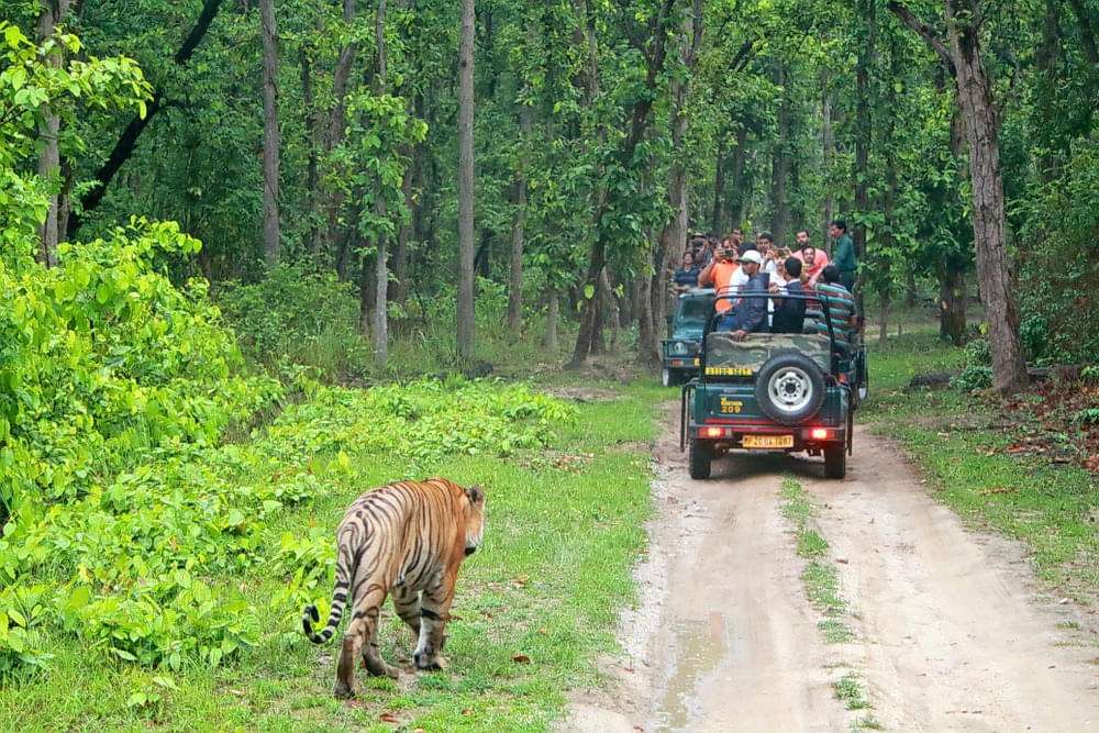 Bandipur National Park, Karnataka