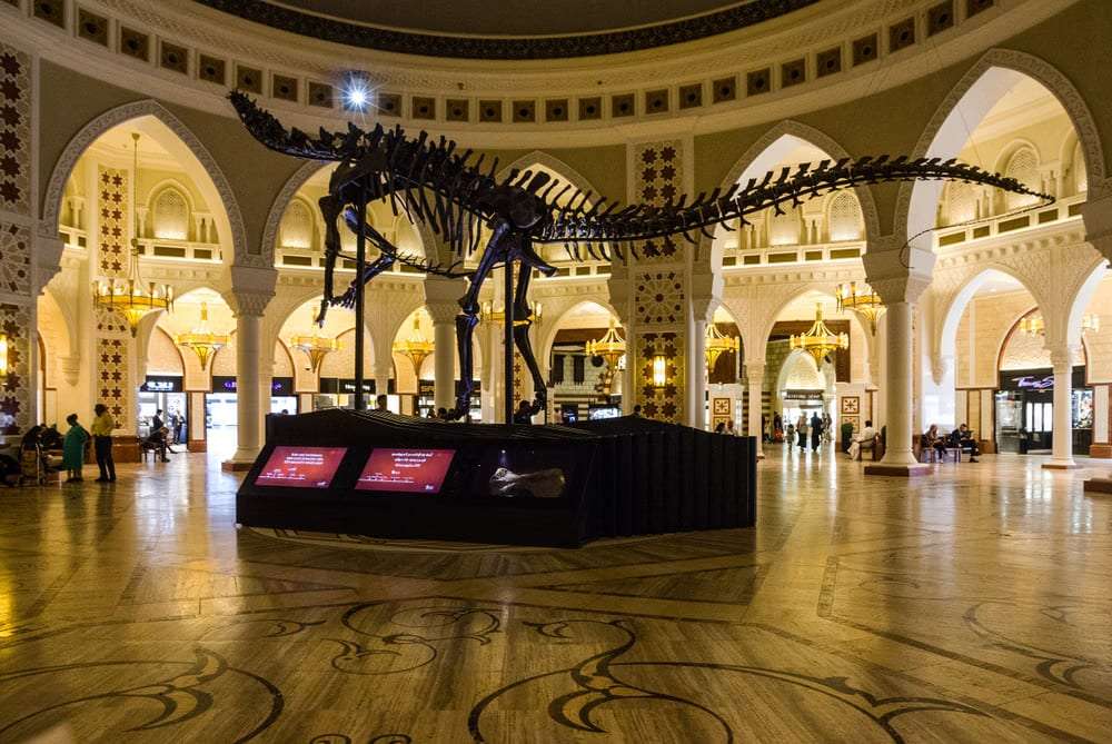 Step Back In Time At Dubai Dino