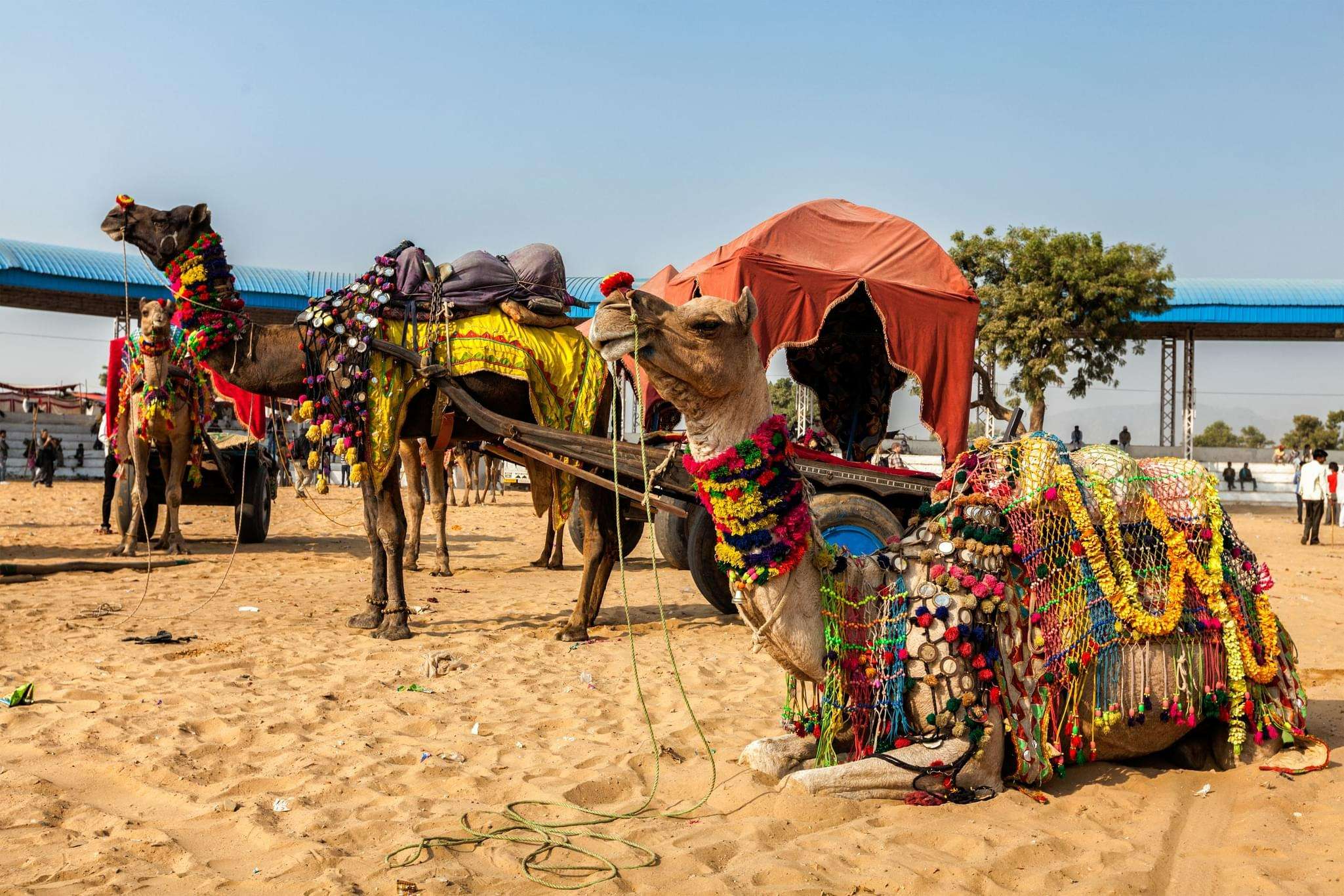 How To Reach The Pushkar Mela?