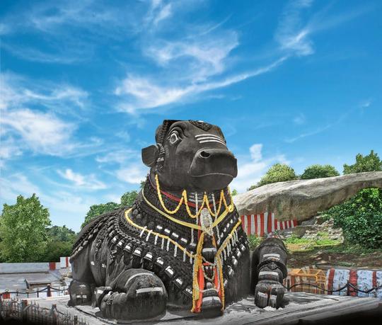 Basavanagudi And Bull Temple Road