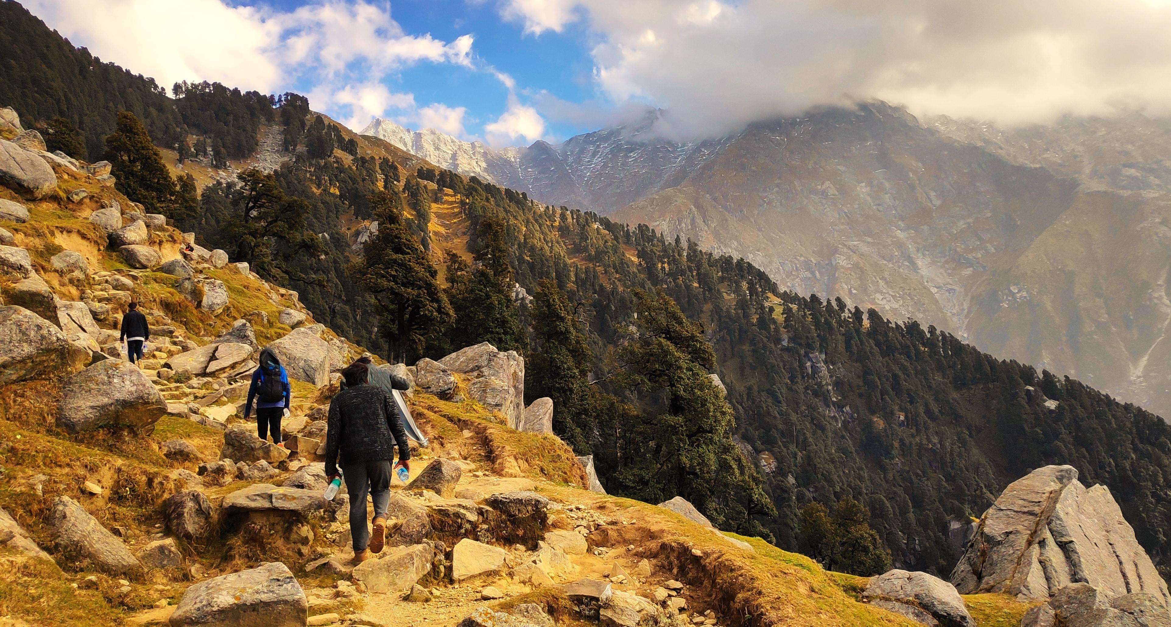  Triund Trek