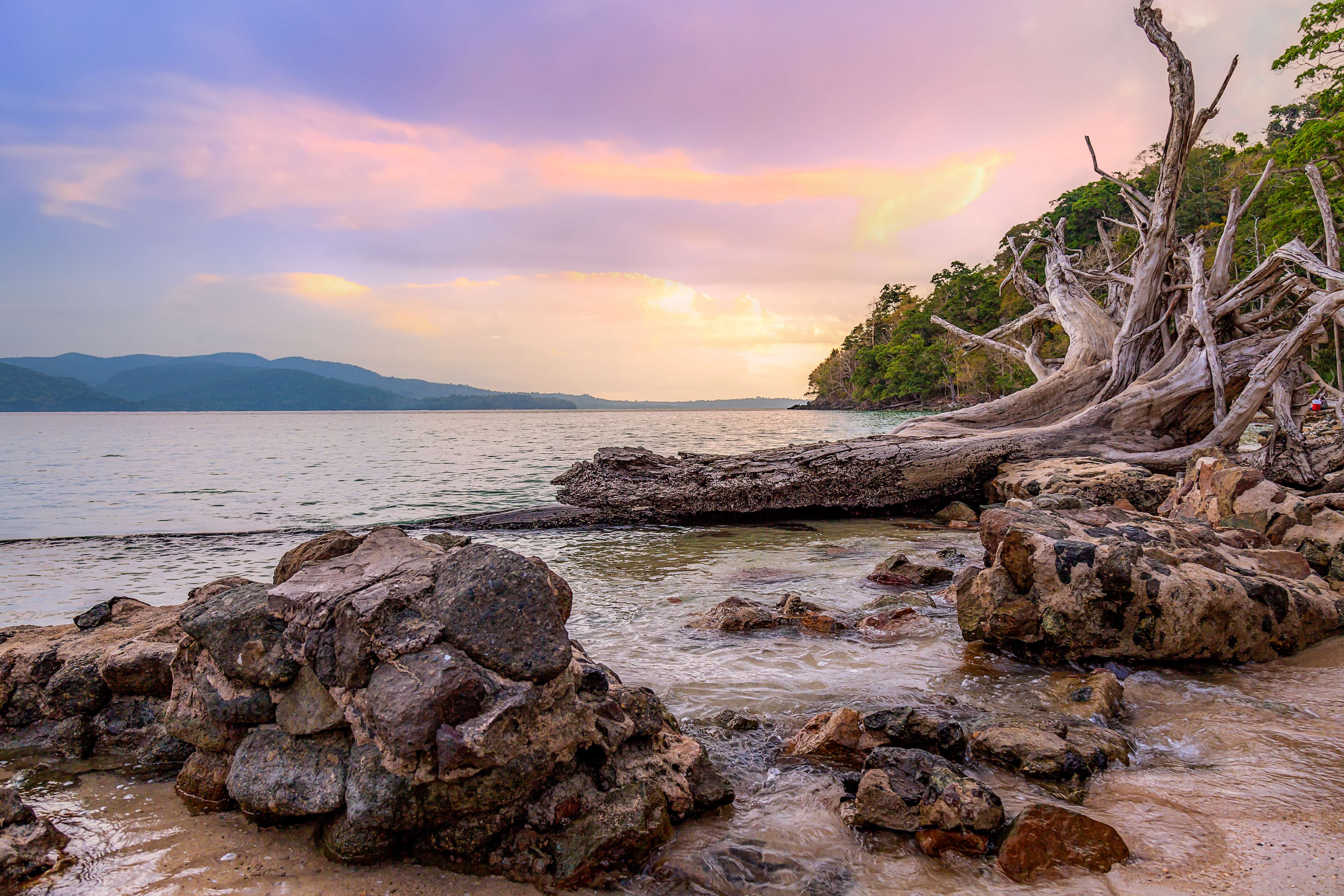 Explore Chidiya Tapu