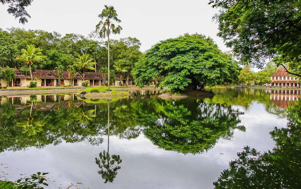 \Kumarakom Backwaters & Vembanad Lake