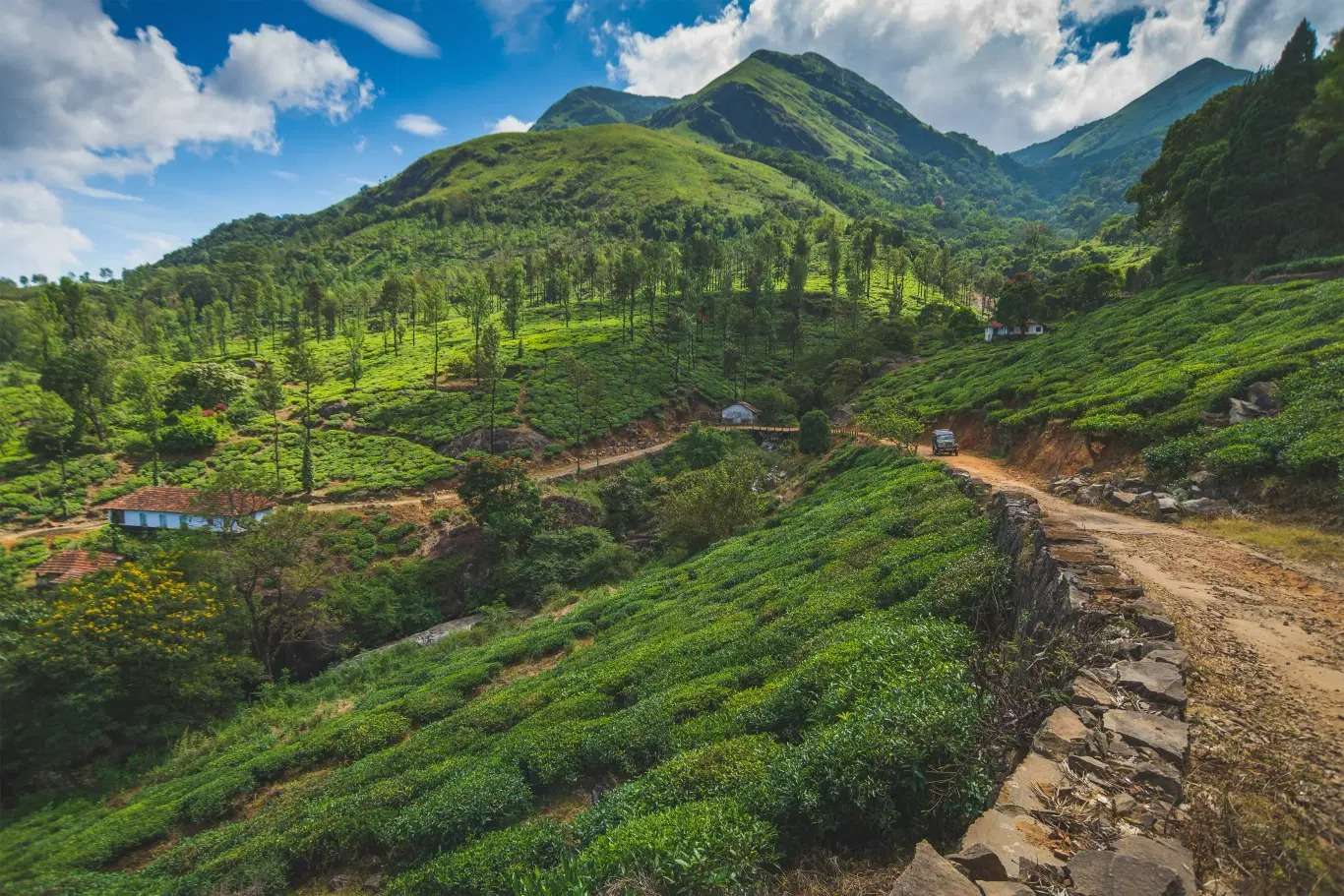 Wayanad, Kerala