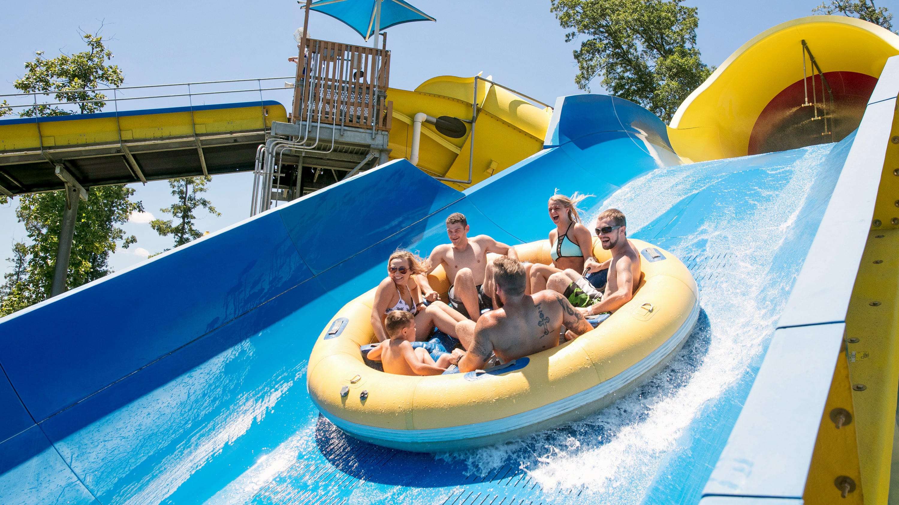 VGP Universal Kingdom