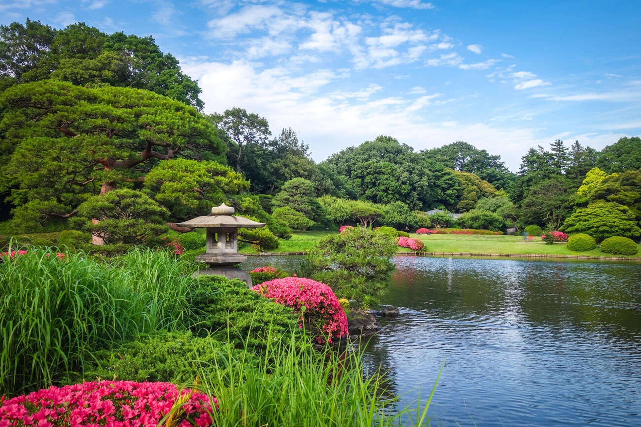 Shinjuku Gyoen National Garden (Tokyo)