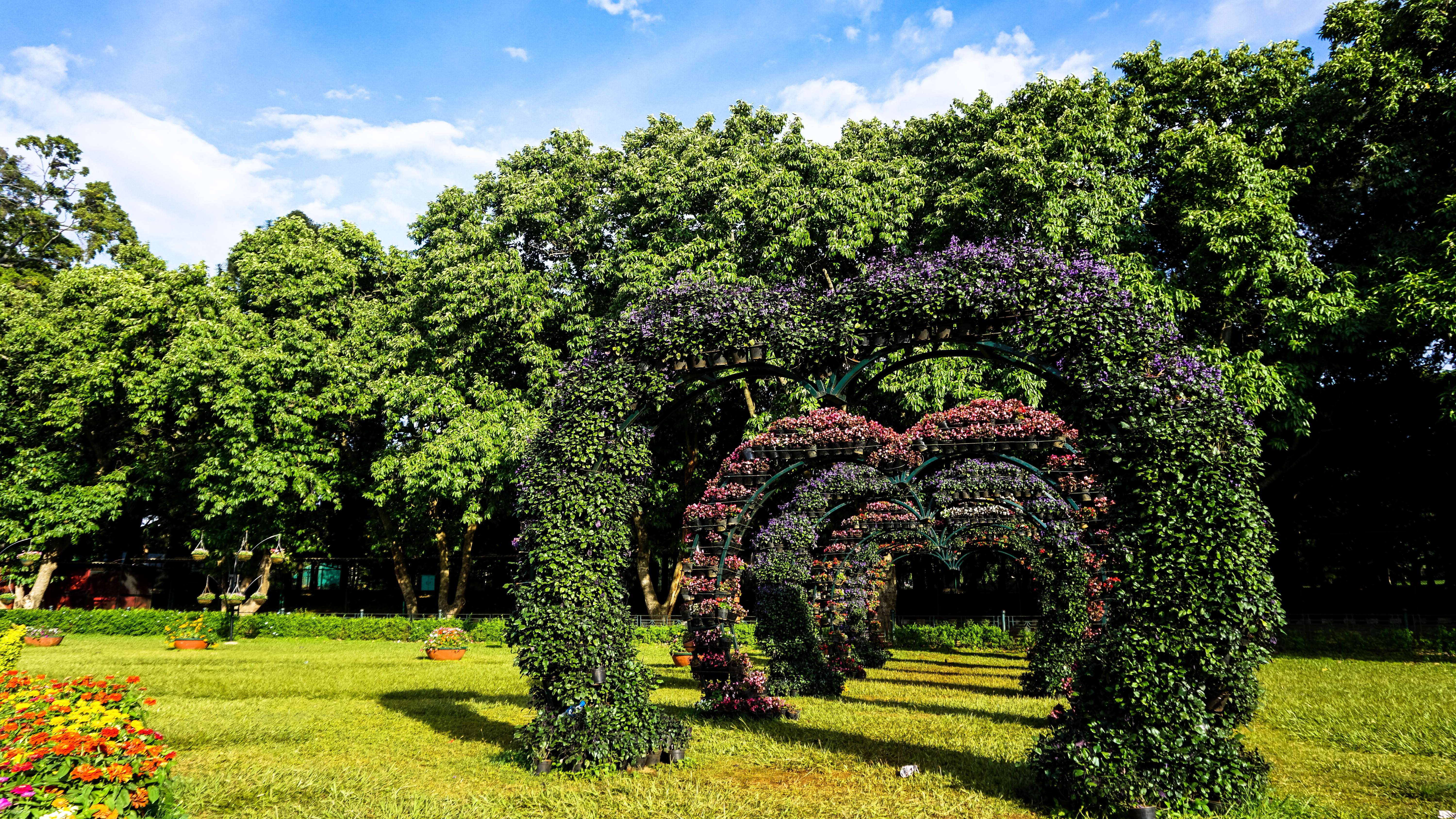 Hyderabad Botanical Garden