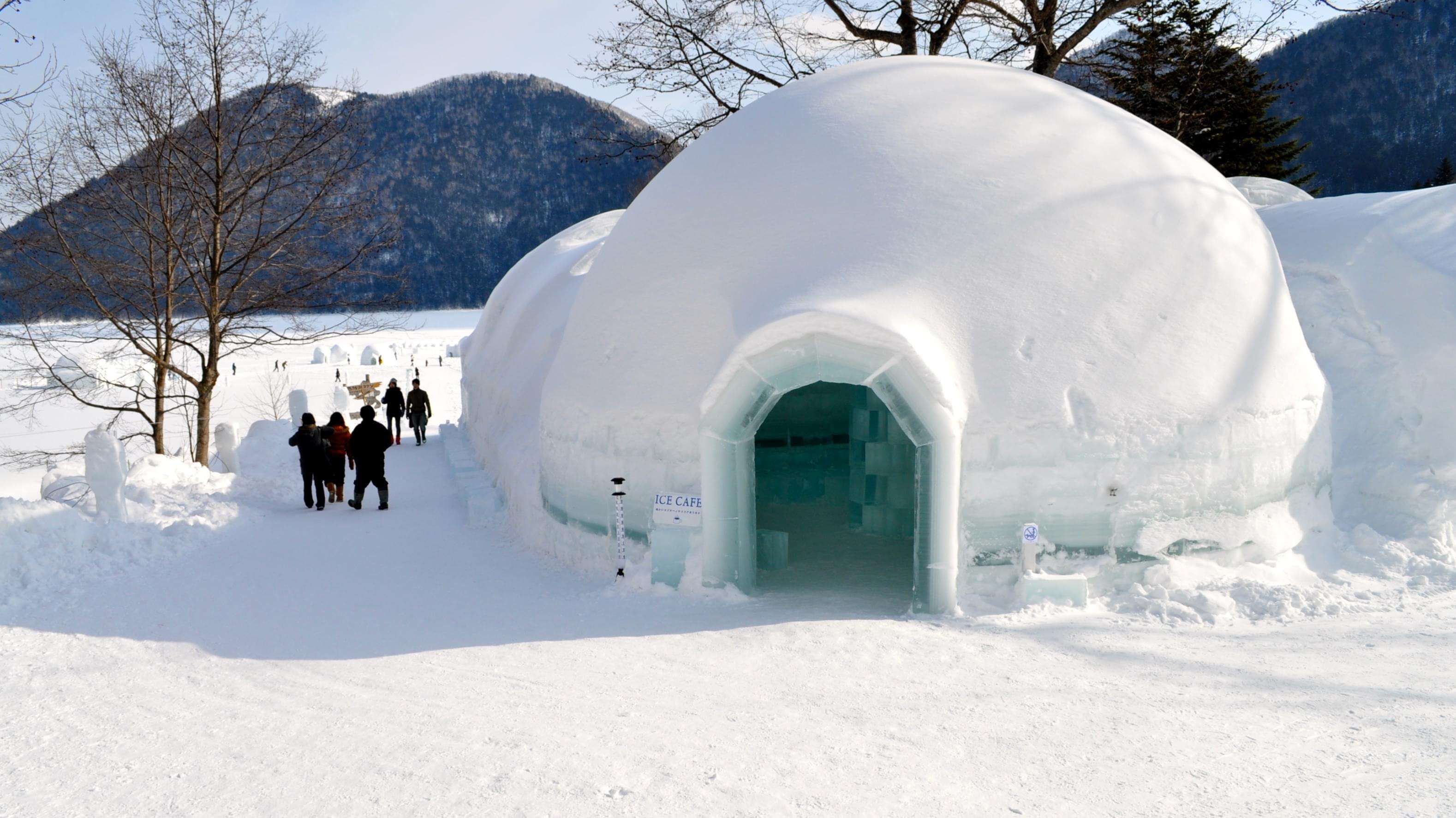 Igloo Café