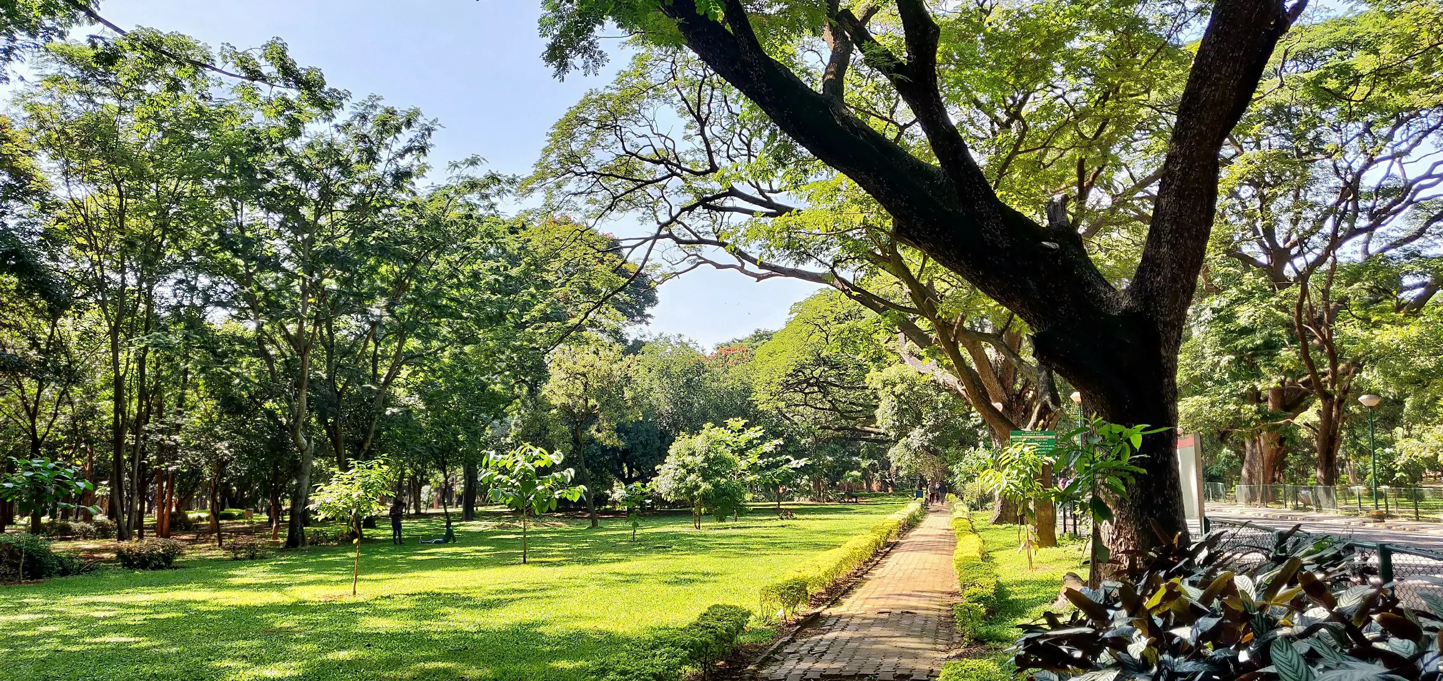 Cubbon Park 