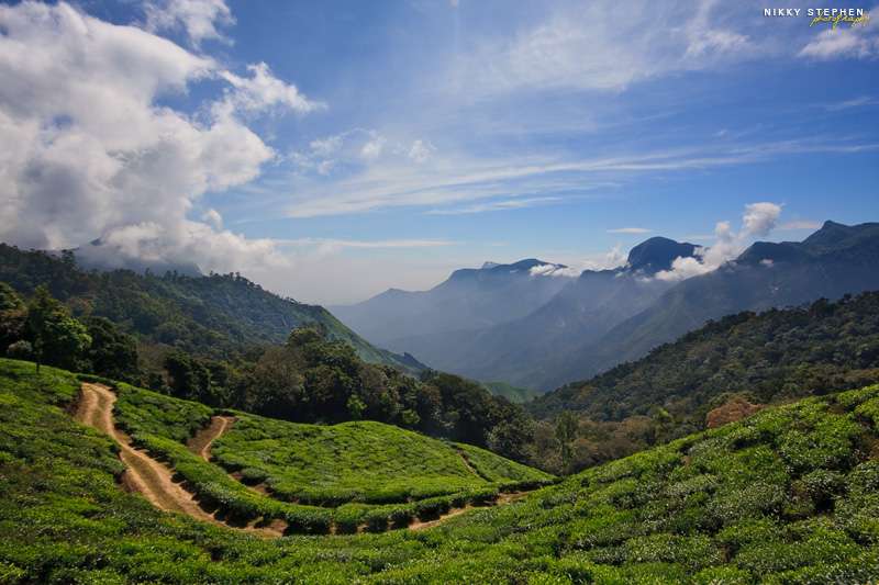 10 Magical Experiences to Try in Kerala in Winter