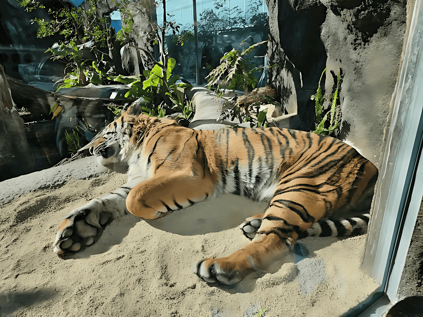 Visit The Kobe Animal Kingdom