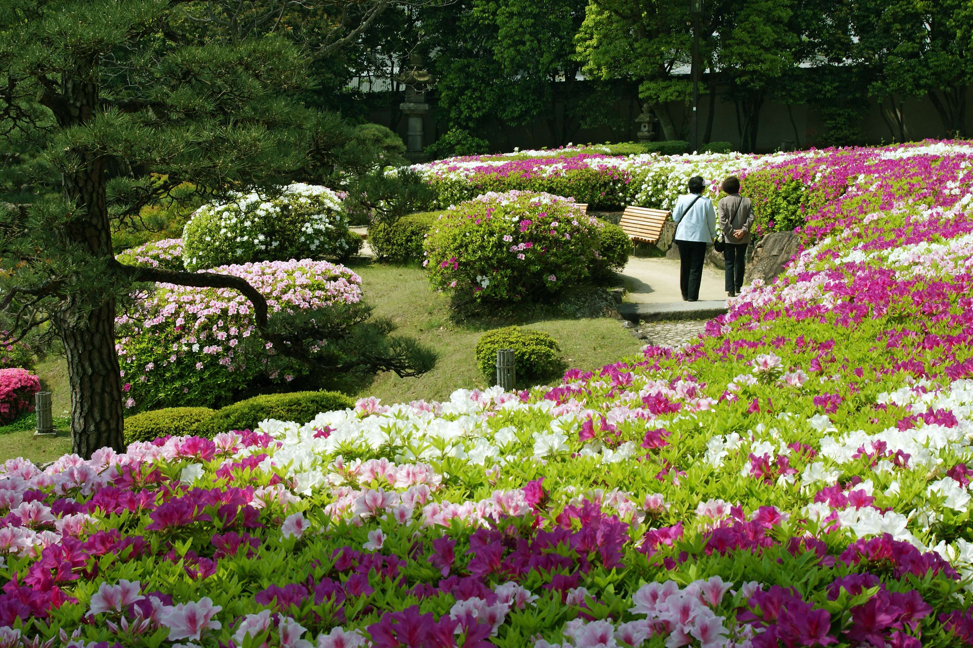 Sorakuen Garden