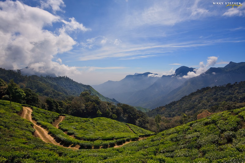 12 Reasons to Visit Kerala in Winter