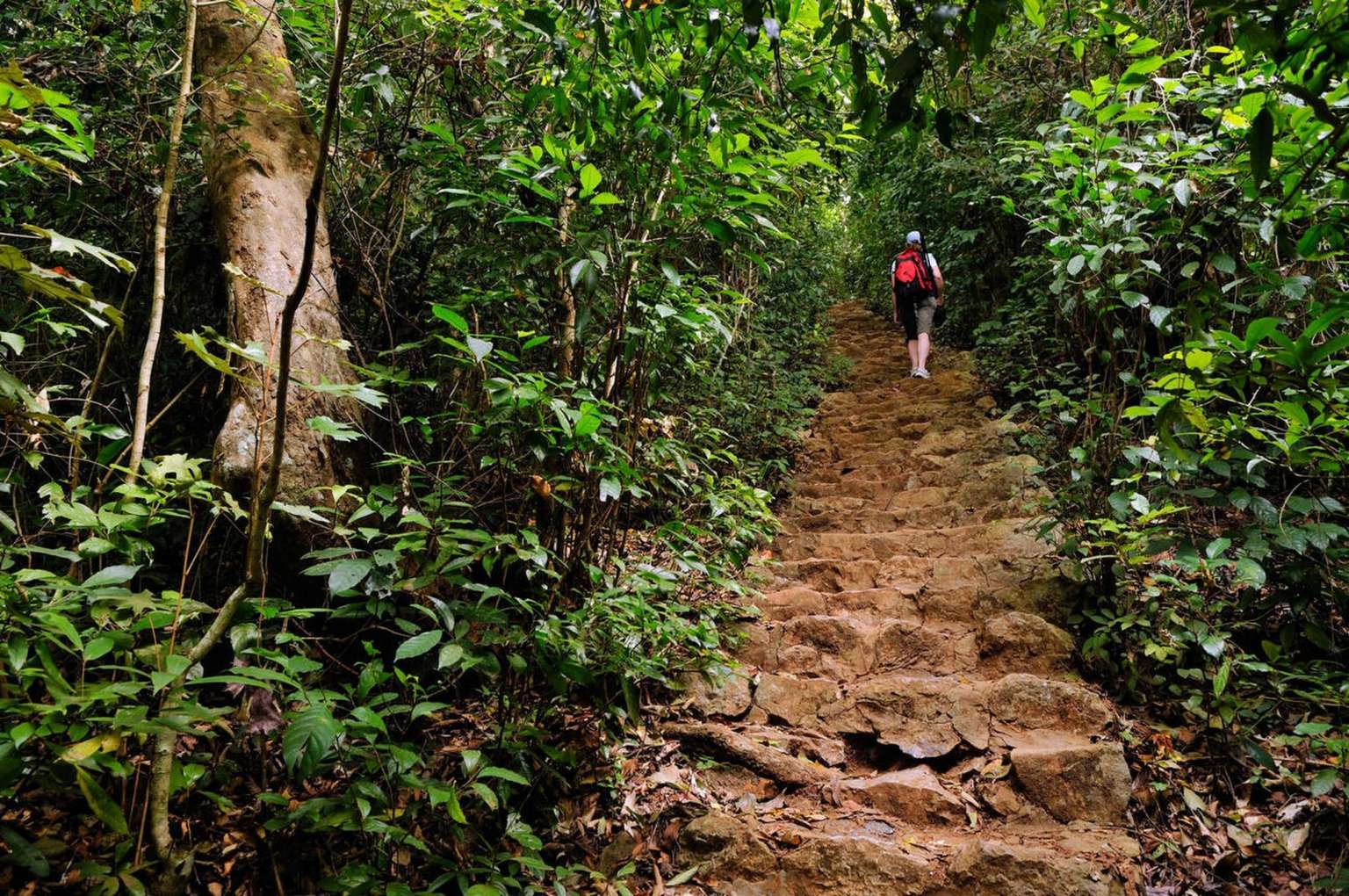 Cat Ba National Park