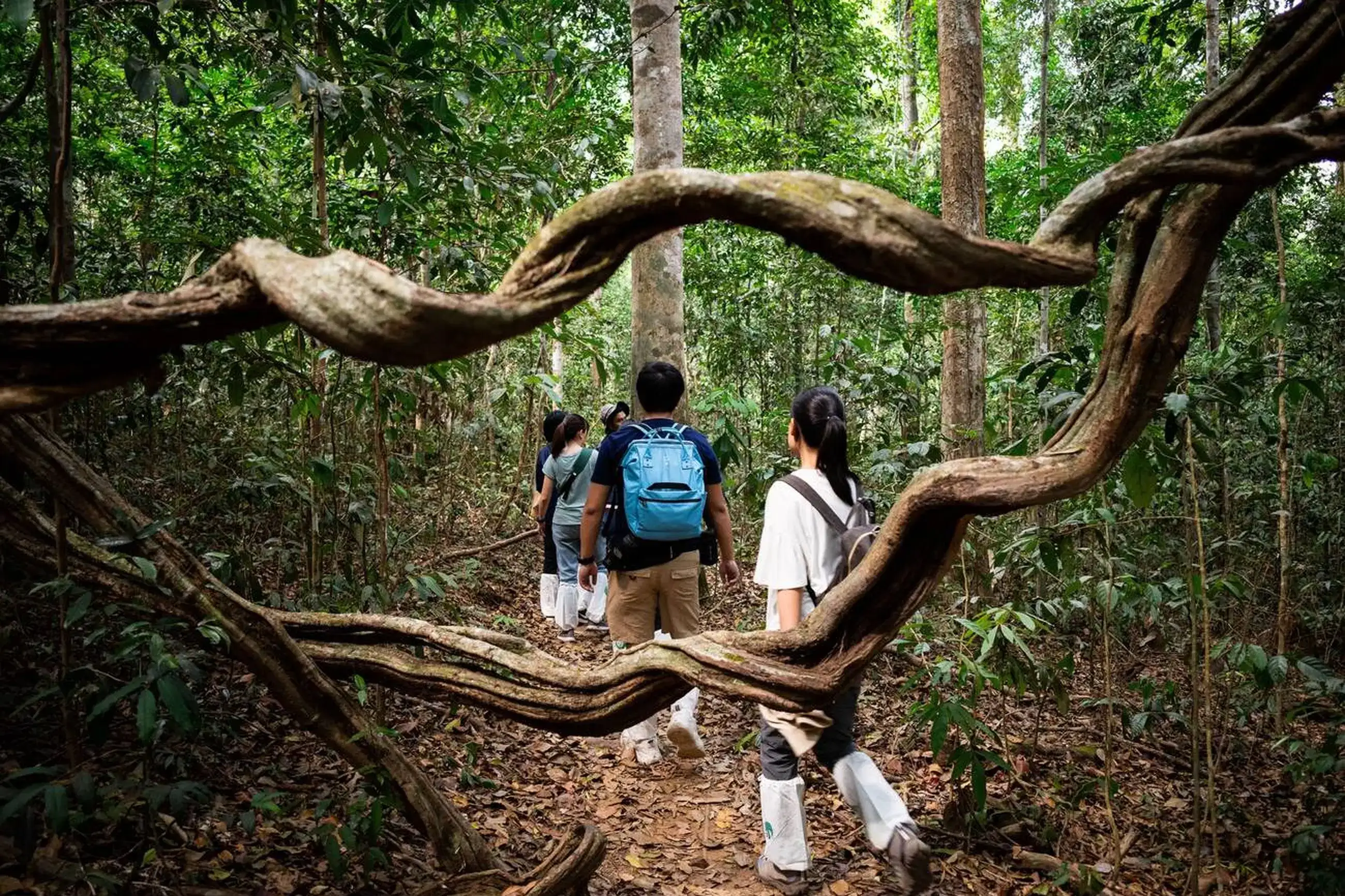 Trek to Mount Harriet