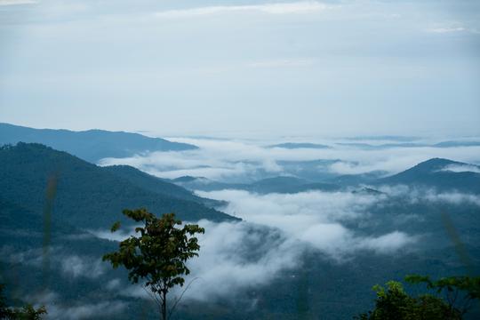 10 Best Places to Visit in Kerala in One Day {{year}} Travel Guide