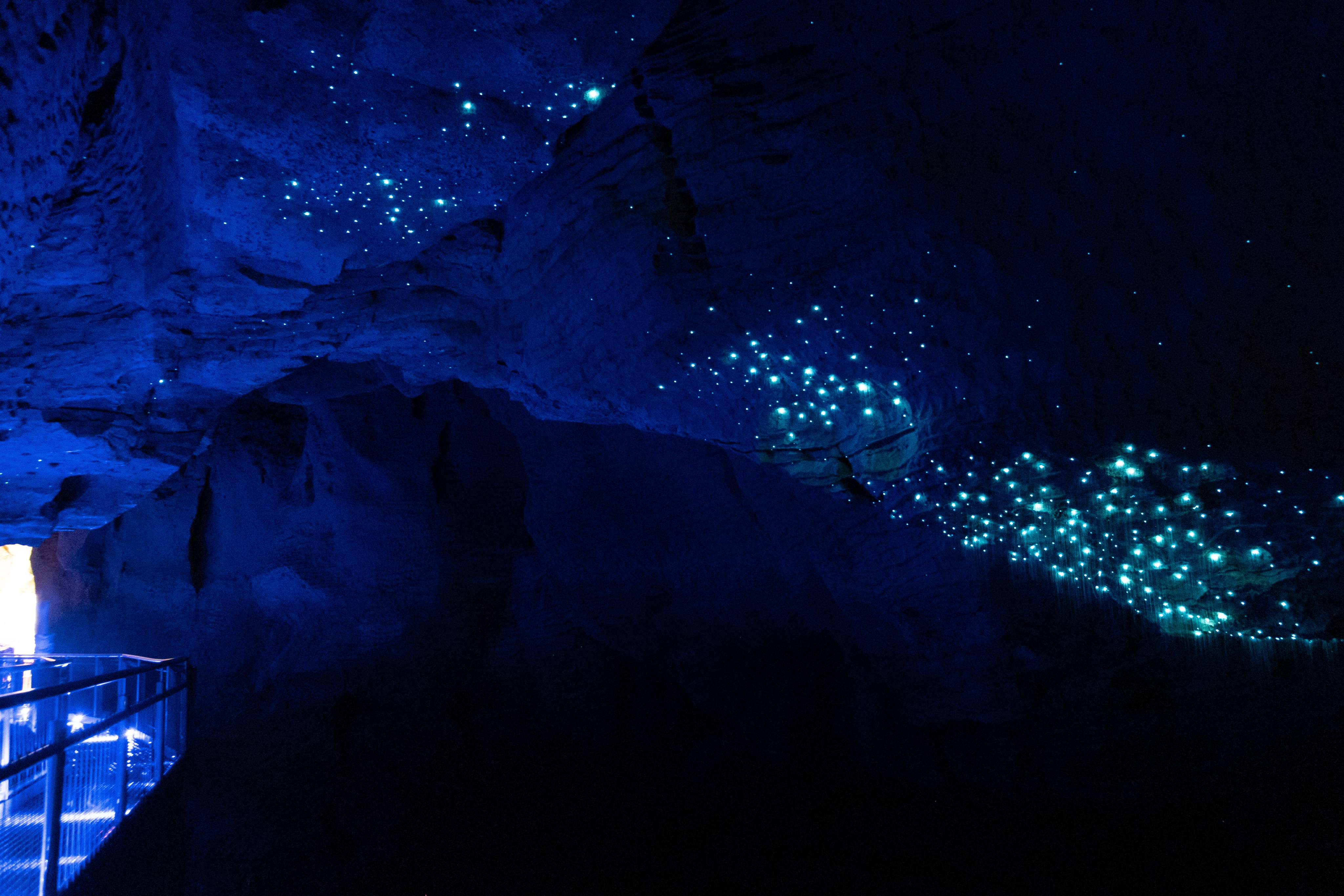 Waitomo Glowworm Caves