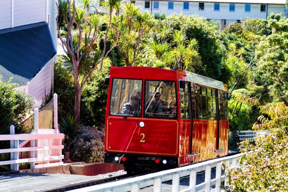 Wellington Cable Car And Botanic Garden