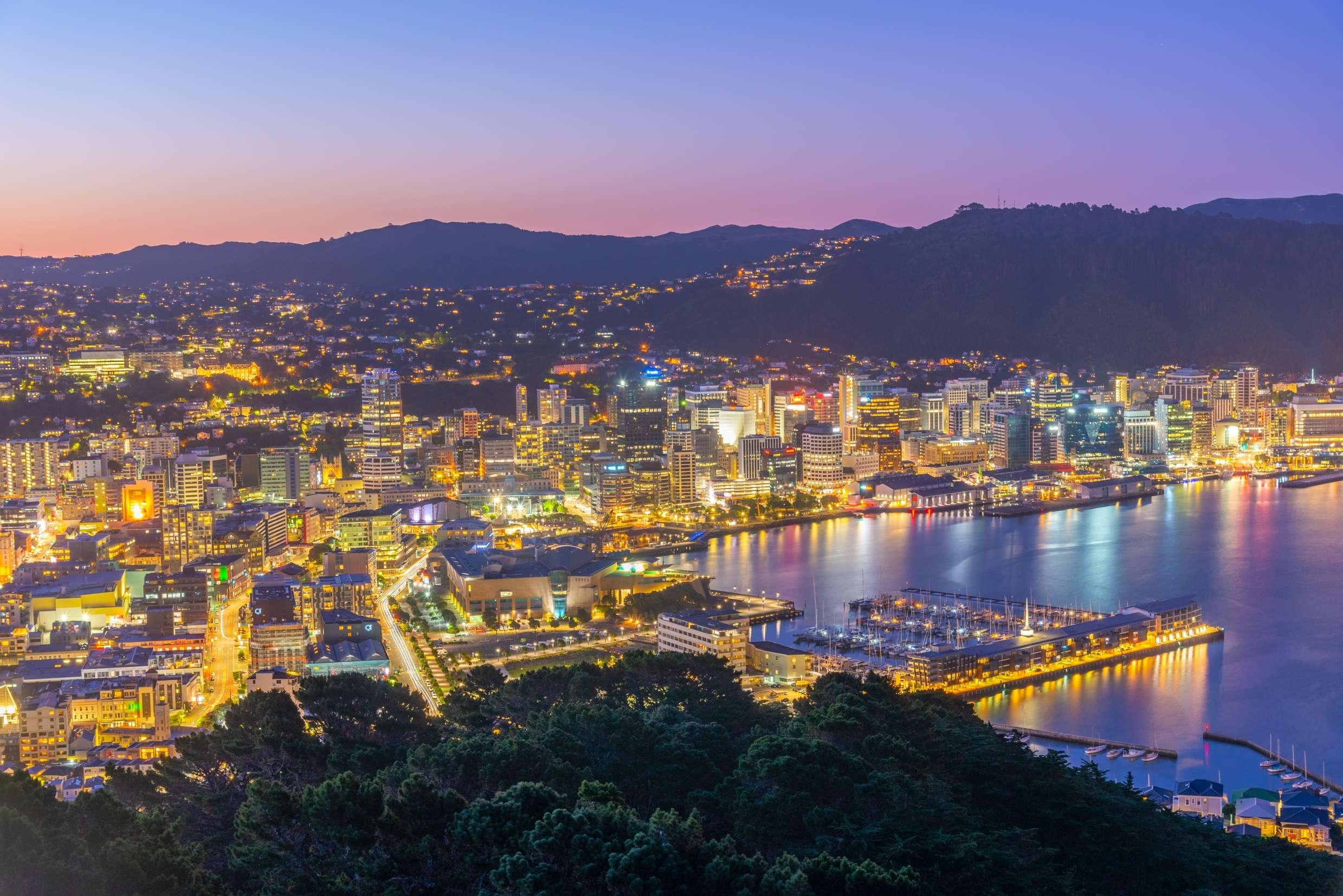 10 Things to Do in Wellington for Couples for a Romantic Escape