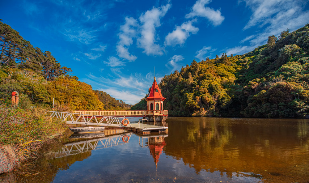 Experience Wildlife at Zealandia Ecosanctuary