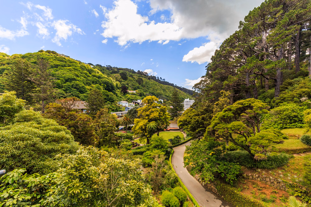 Wander Through the Wellington Botanic Garden