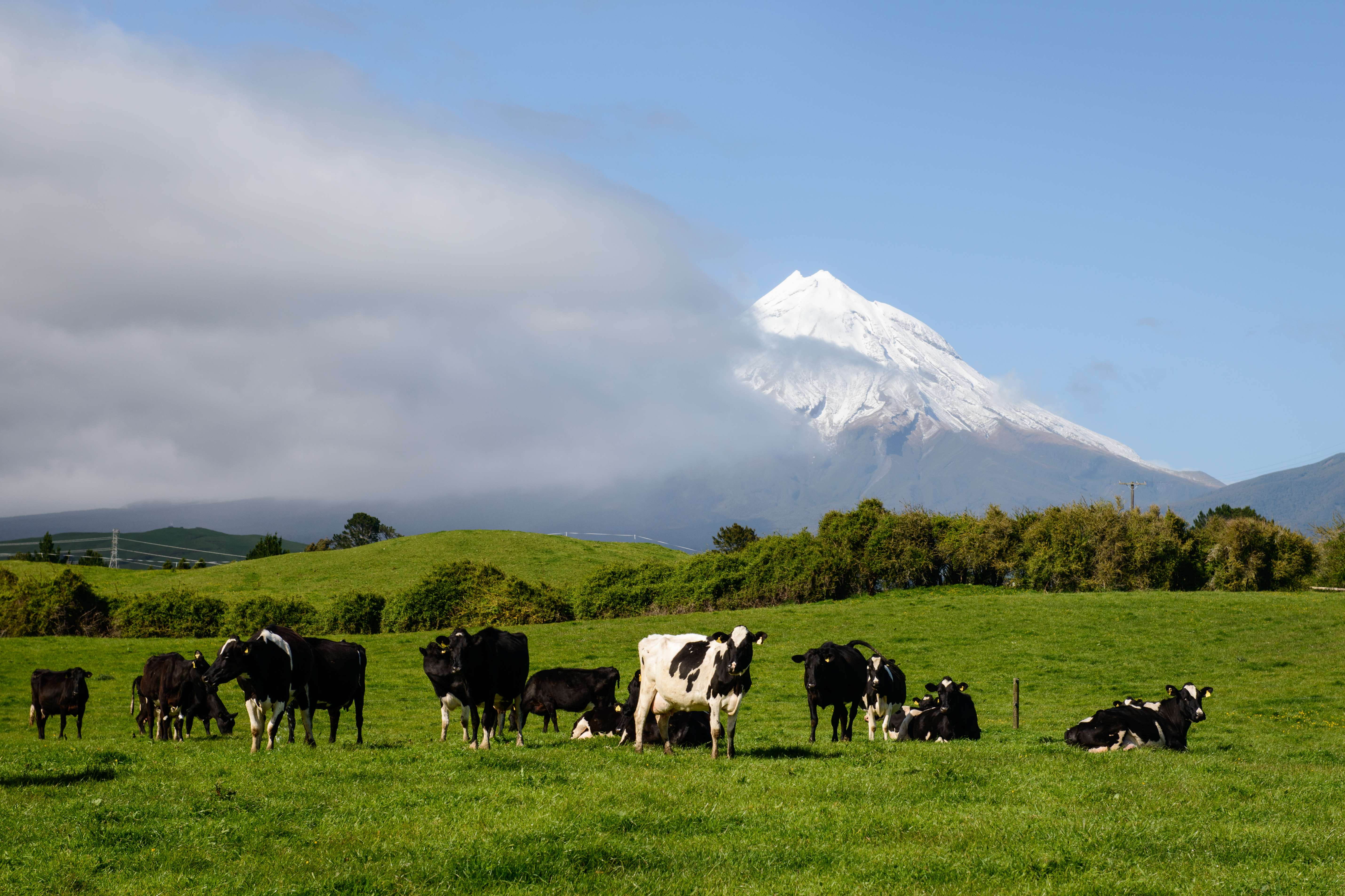 Mount Taranaki