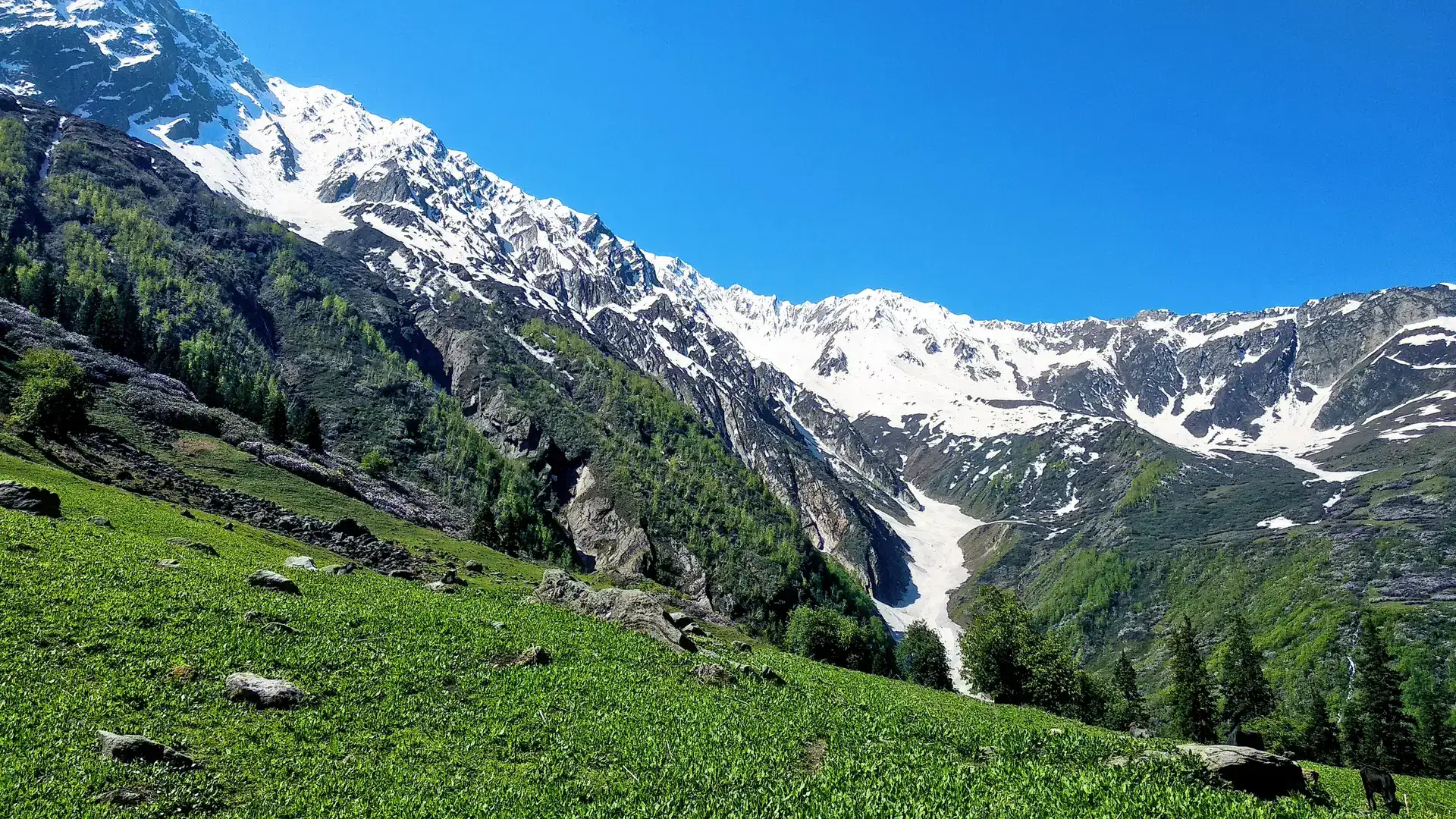 Kheerganga